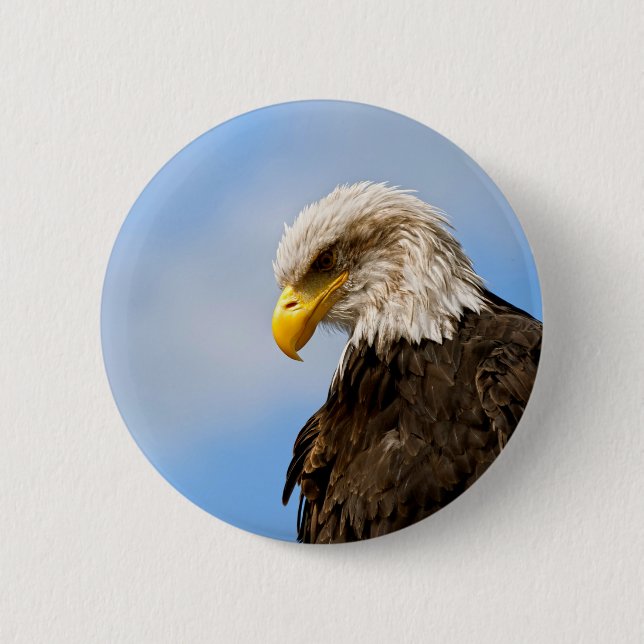 Bald Eagle Wildlife Portrait Art 2 Inch Round Button (Front)