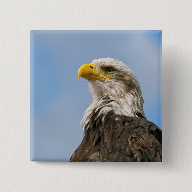 Bald Eagle Wildlife Portrait Art 2 Inch Square Button (Front)