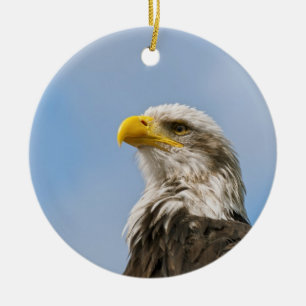 Bald Eagle Wildlife Portrait Art Ceramic Ornament