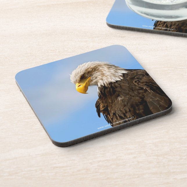 Bald Eagle Wildlife Portrait Art Coaster (Left Side)