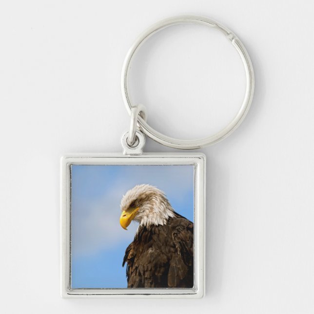 Bald Eagle Wildlife Portrait Art Keychain (Front)