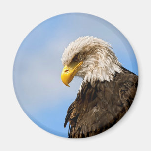 Bald Eagle Wildlife Portrait Art Magnet