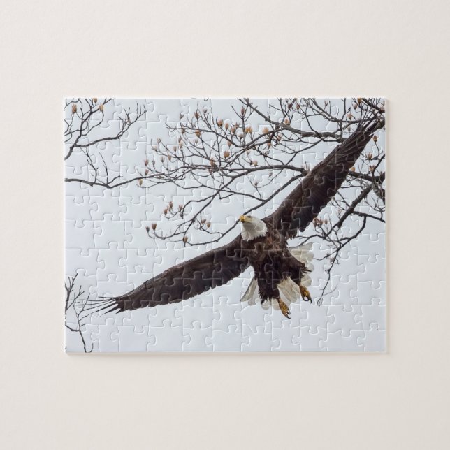 Bald Eagle Wingspread Jigsaw Puzzle (Horizontal)