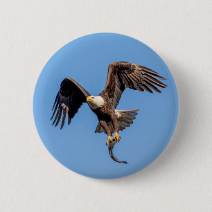 Bald Eagle with a fish 2 Inch Round Button