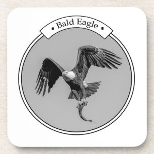 Bald Eagle with a fish Coaster