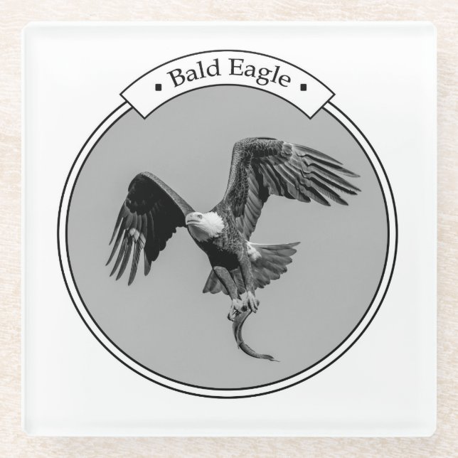 Bald Eagle with a fish Glass Coaster (Front)