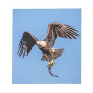 Bald Eagle with a fish Notepad