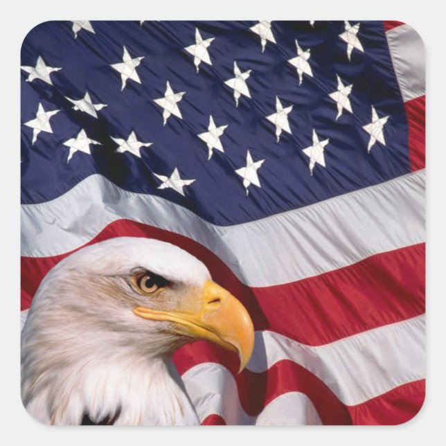 Bald Eagle with American Flag Square Sticker (Front)