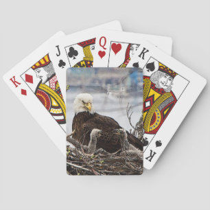 Bald Eagle with eaglets Playing Cards
