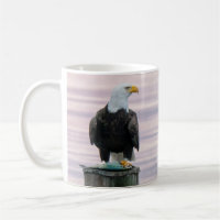 Bald Eagle With Fish On Dock - "Marge the Eagle"