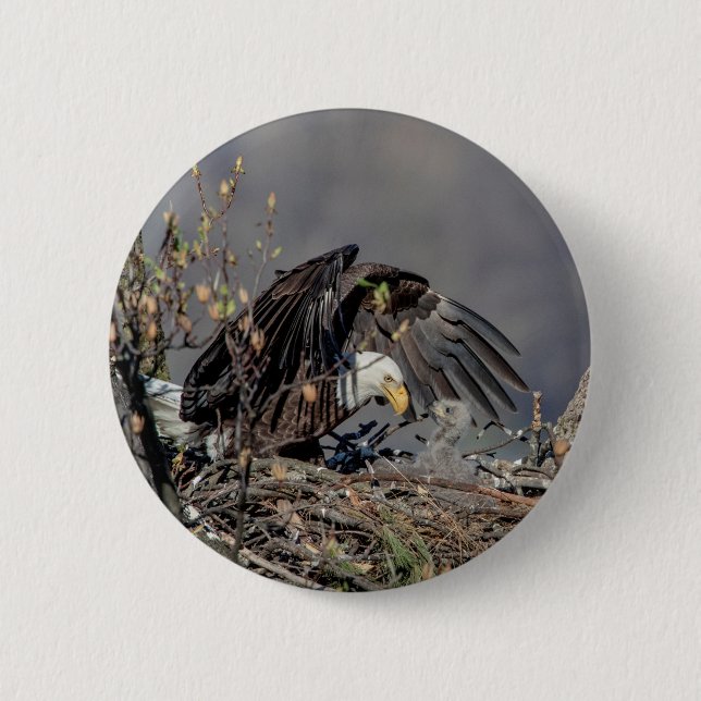 Bald Eagle with her baby 2 Inch Round Button (Front)