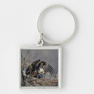 Bald Eagle with her baby Keychain
