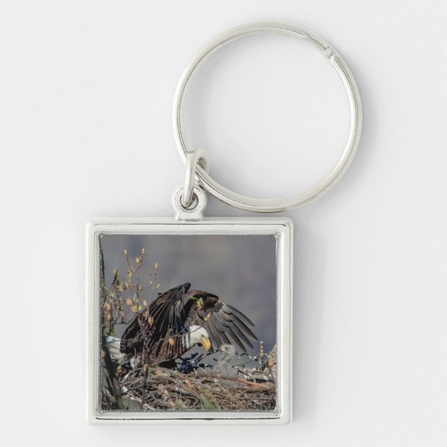 Bald Eagle with her baby Keychain (Front)