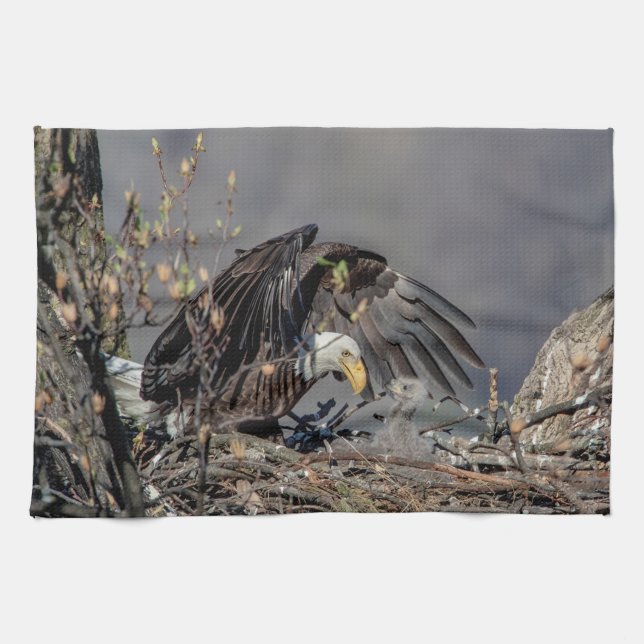 Bald Eagle with her baby Kitchen Towel (Horizontal)