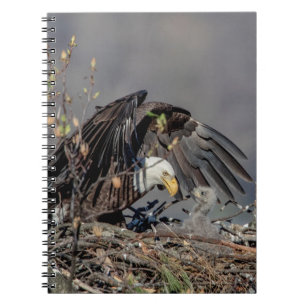Bald Eagle with her baby Notebook