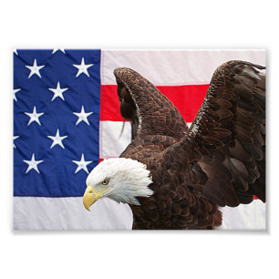 Bald Eagle with the American Flag Photo Print