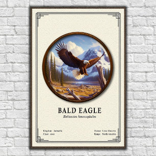Bald Eagle Zoology Series Poster