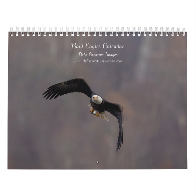 Bald Eagles 2026 Calendar (Cover)