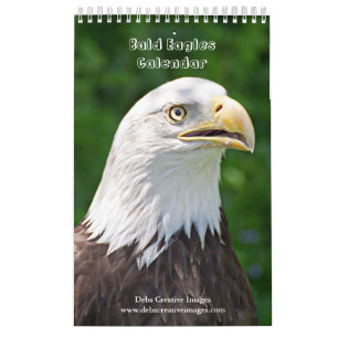 Bald Eagles 2026 Calendar