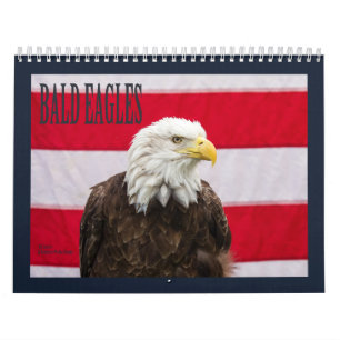 Bald Eagles Calendar