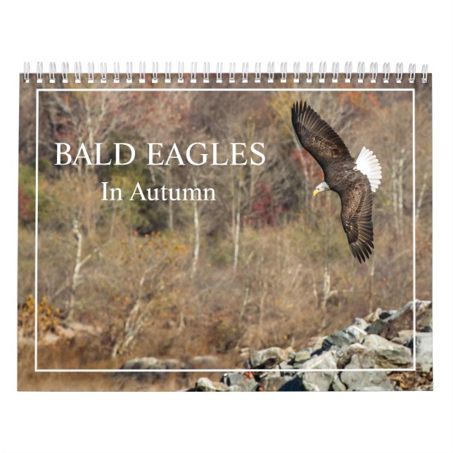 Bald Eagles In Autumn Calendar (Cover)