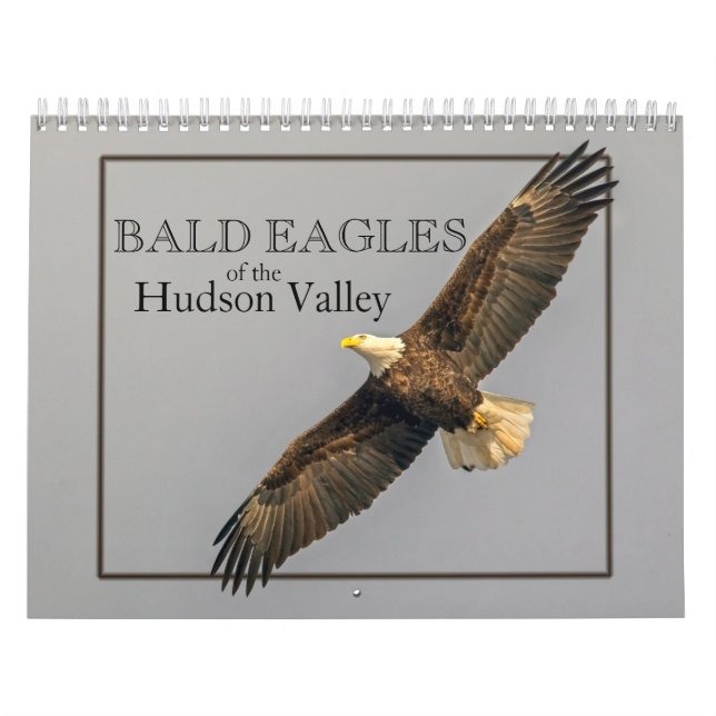 Bald Eagles of the Hudson Valley Calendar (Cover)