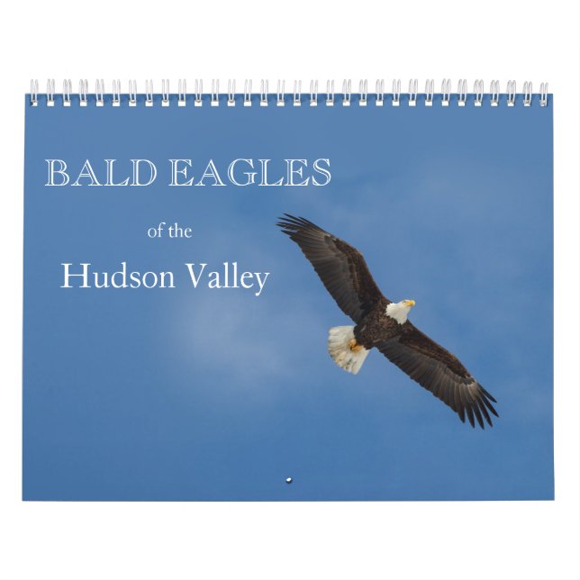 Bald Eagles of the Hudson Valley Calendar (Cover)