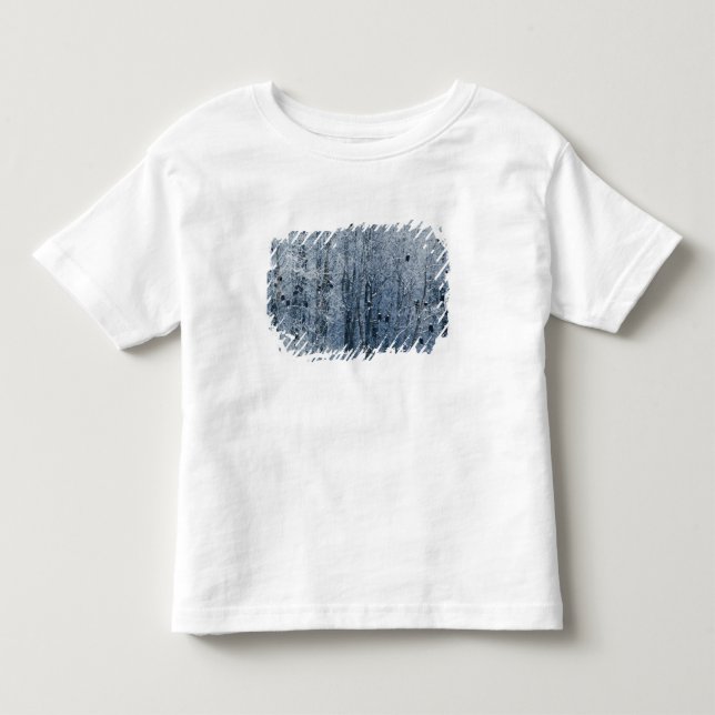 Bald Eagles Toddler T-shirt (Front)