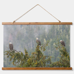 Bald Eagles   Tongass National Forest Alaska Hanging Tapestry