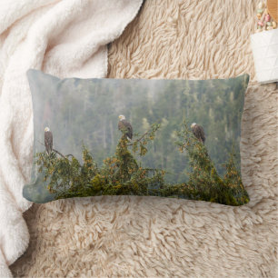 Bald Eagles   Tongass National Forest Alaska Lumbar Pillow