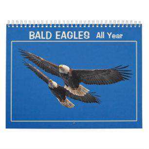 Bald Eagles Tous l'année Calendrier