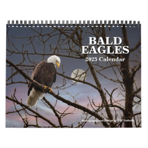 Bald Eagles Wildlife Photography Calendar