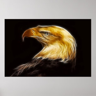 Bald Eagles with power  poster