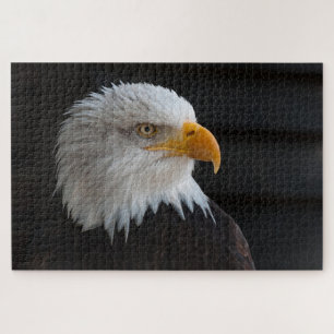 Bald head eagle jigsaw puzzle