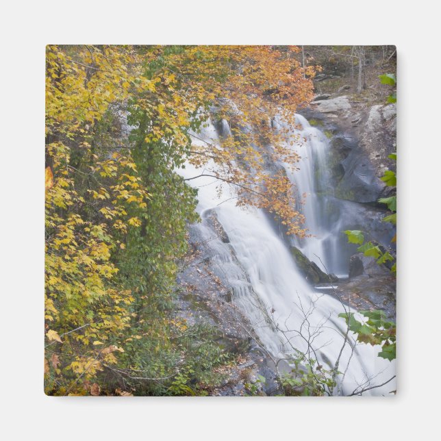 Bald River Falls Magnet (Front)