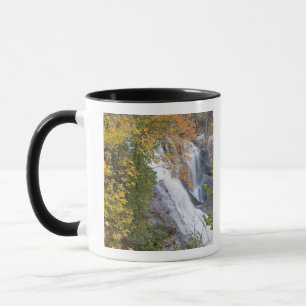 Bald River Falls Mug