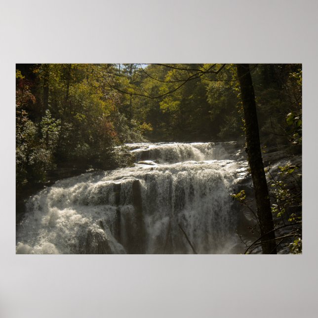 Bald River Falls Poster (Front)