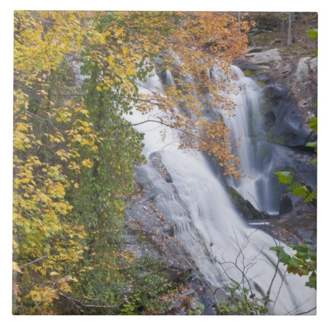 Bald River Falls Tile (Front)