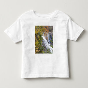 Bald River Falls Toddler T-shirt