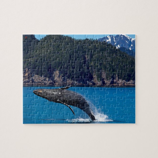 Baleine à bosse Alaska Jigsaw Puzzle (Horizontal)