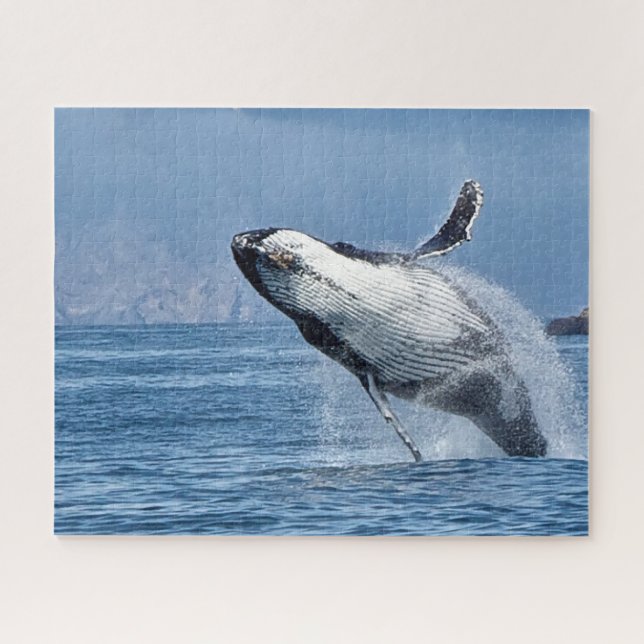 Baleine à bosse Alaska Jigsaw Puzzle (Horizontal)