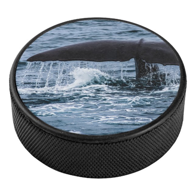 Baleine de Sperm (3/4/2016 12:00:00 AM)