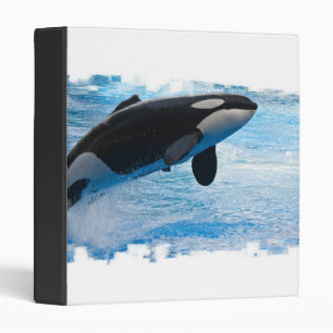 Baleine d'un classeur de temps