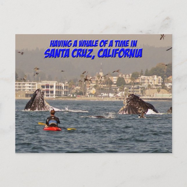 Baleine d'une carte postale Père Noël Cruz Califor (Devant)