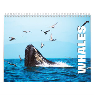 Baleines 2022 Calendrier mural