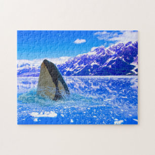 Baleines orques canadiennes. Jigsaw Puzzle