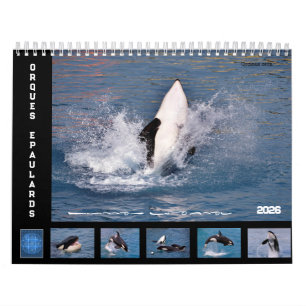 Baleines tueuses calendrier 12 mois