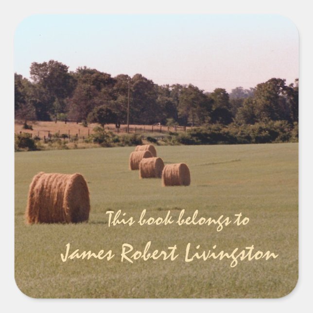Bales Custom Bookplate Square Sticker (Front)