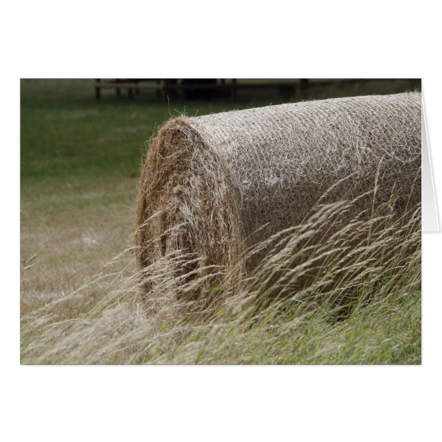 Bales de foin (Devant horizontal)