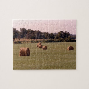 Bales Puzzle